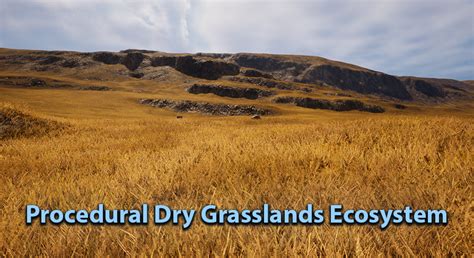 Procedural Dry Grasslands Ecosystem in Environments - UE Marketplace