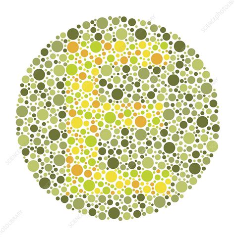 Colour blindness test chart, illustration - Stock Image - C049/7408 - Science Photo Library