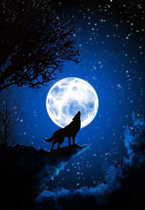 Wolves Love | Spirit animal art, Wolf illustration, Wolf artwork