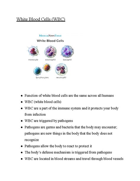 White Blood Cells function, diseases, and types - White Blood Cells ...