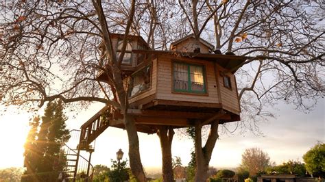 Living in a Treehouse Mansion -Treehouse Tour (1 bath, 2 bed, 3 trees) - YouTube