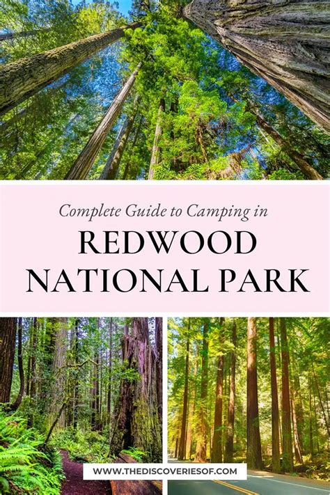 Redwood National Park Camping Guide — The Discoveries Of