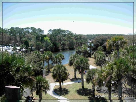 Parks in Hernando County | Jenkins Creek and Linda Pedersen Park