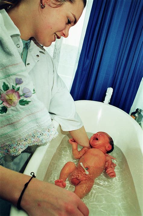 Washing Newborn Baby Boy Photograph by Henny Allis/science Photo Library - Pixels