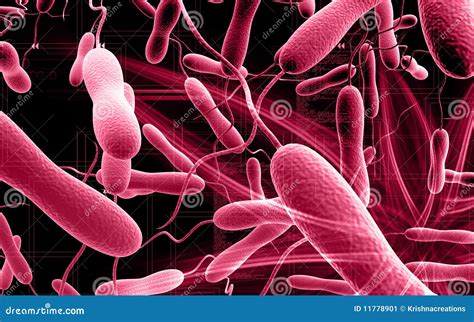 Cholera Bacteria Stock Illustration | CartoonDealer.com #48920515