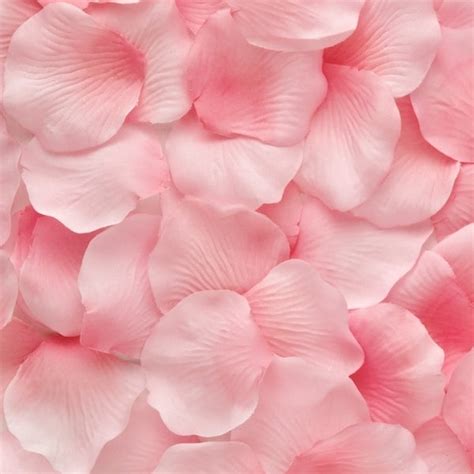 Light Pink Rose Petals | Rose Petals for Sale - Flower Explosion