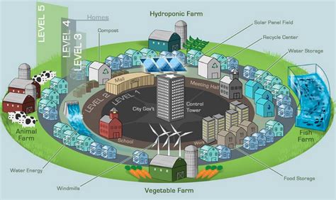 Designing Cities for the Future in 2021 | Farm school, Build a better world, Solar panels for home