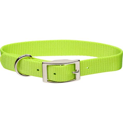 Coastal Pet Metal Buckle Nylon Personalized Dog Collar in Lime, 3/8" Width | Petco