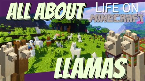 How To Control A Llama In Minecraft 1.17 at Cynthia Dean blog