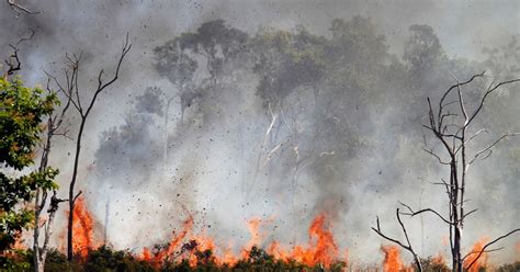 Indonesia’s Forest Fires – What You Need to Know