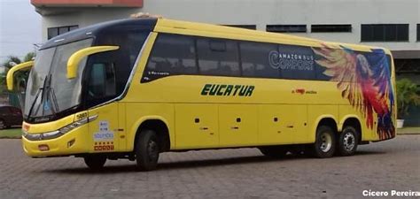 Eucatur renova parte de sua frota com veículos semi-novos - Fortalbus.com - O dia a dia do nosso ...