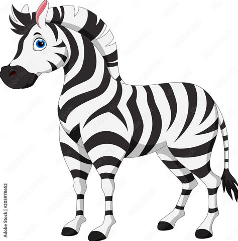 Cute zebra cartoon isolated on white background Stock Vector | Adobe Stock