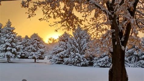 First Snowfall of 2023 | CTV News