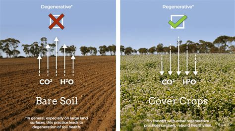 A Closer Look: Regenerative Agriculture Practices