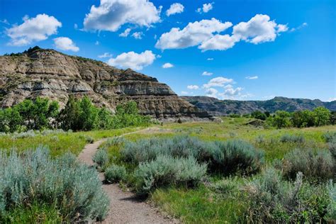 Theodore Roosevelt National Park's North Unit: Things to Do - World is Wide