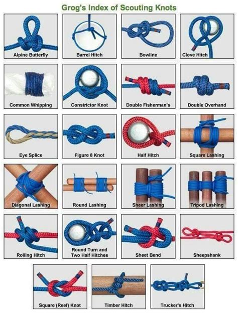 Pin by Aileen Welsh on Boys Scouts, Blue & Gold,etc. | Scout knots, Survival skills, Knots