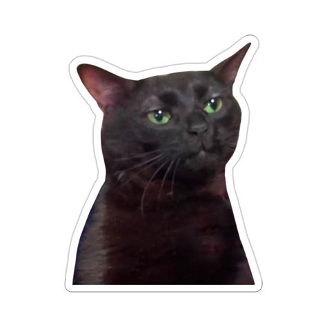 Zoning Out Black Cat Meme, Zoning Out Black Cat Sticker, Black Cat Meme ...