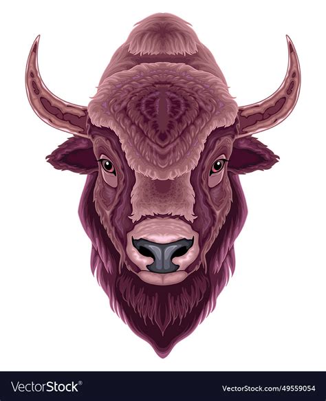 Bison head isolated animal Royalty Free Vector Image