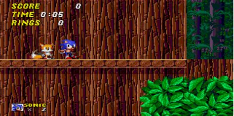 Wood Zone | Sonic beta Wiki | Fandom