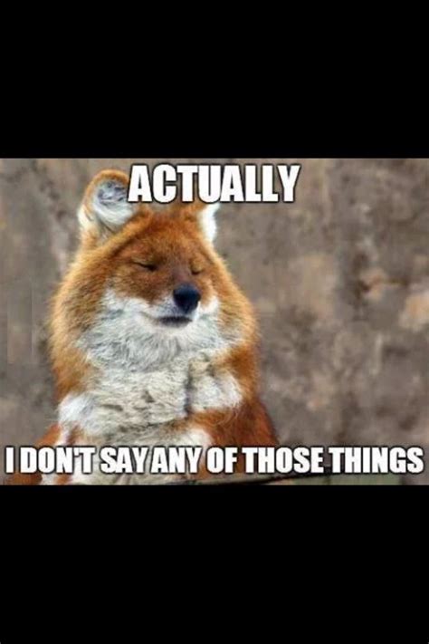 Fox Funny Quotes. QuotesGram