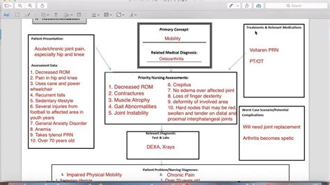 Nursing Student Nursing Concept Map Template