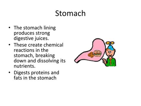 PPT - Physical vs. Chemical Changes in Digestion PowerPoint Presentation - ID:808794