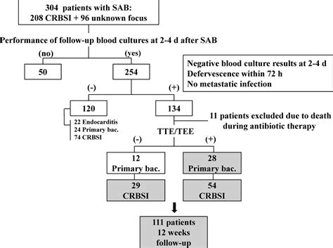 Treatment Duration for Uncomplicated Staphylococcus aureus Bacteremia To Prevent Relapse ...