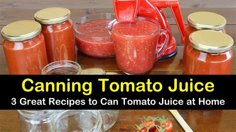 3 Great Recipes to Can Tomato Juice at Home