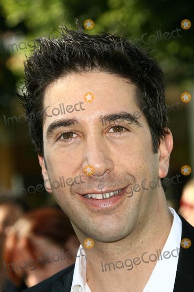 Photos and Pictures - David Schwimmer at the Los Angeles Premiere of ...