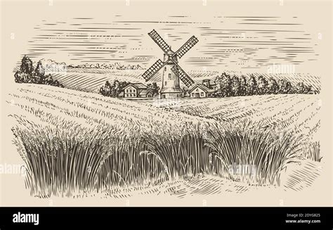 Windmill in a rural landscape. Wheat field sketch vintage vector illustration Stock Vector Image ...