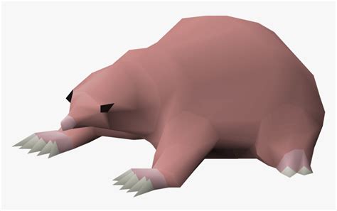 Giant Mole Osrs, HD Png Download - kindpng