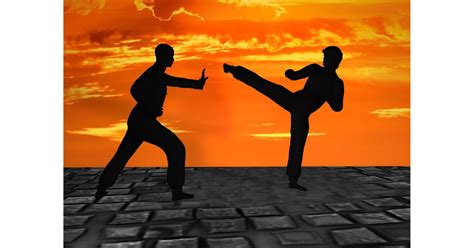 Karate VS Kung fu | Which is The Better Martial Art? - Blinklift