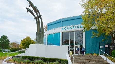 Aquarium of Niagara in Downtown Niagara Falls - Tours and Activities | Expedia.ca