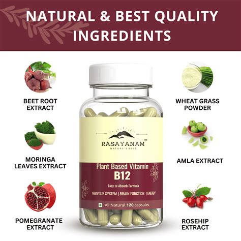 100% Organic Plant-based Vitamin B12 Supplements l Buy Now - Rasayanam