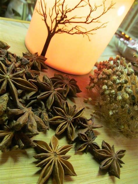 Star Anise Whole Pods - Etsy