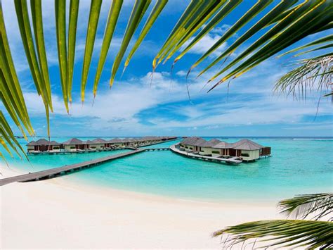 Best Price on Paradise Island Resort & Spa in Maldives Islands + Reviews!