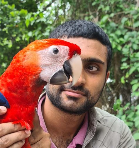 The 2022 Macaw Breeding Season in Punta Leona, Costa Rica has come to its end - The Macaw Society