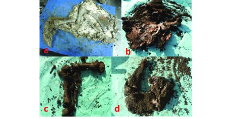 From extremities following exhumation in both intervals. (a) C (I), (b ...