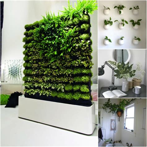 Indoor Planter Boxes - Foter