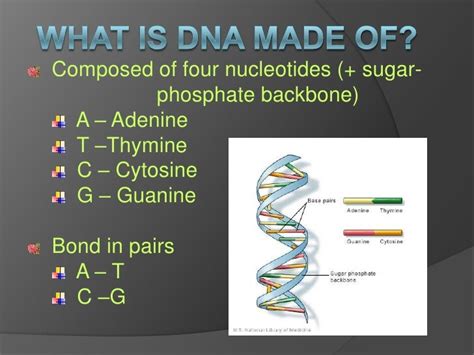 Dna computing