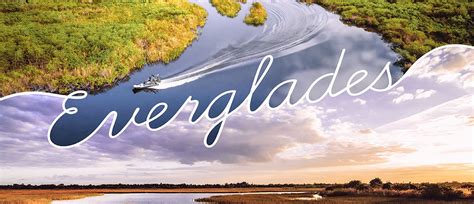 Everglades: An Ever-Changing Environment | Answers in Genesis