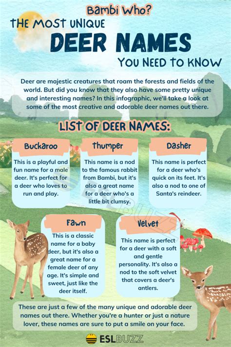 Deer Names: Fun and Creative Ideas for Learning! - ESLBUZZ