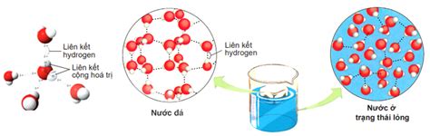 [LỜI GIẢI] Cho các phát biểu sau1 Phân tử nước được cấu tạo bằng - Tự ...