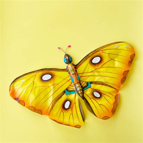 Butterfly Kite – Fair Play Projects