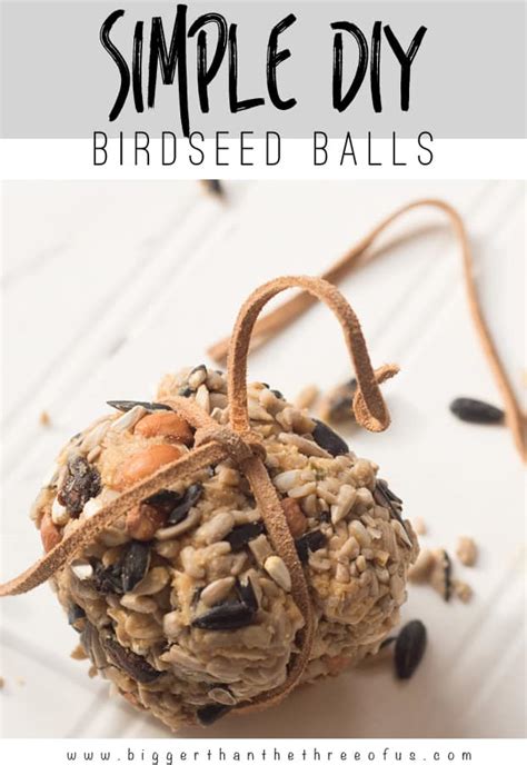 How to Make Birdseed Balls and Other Bird Treats