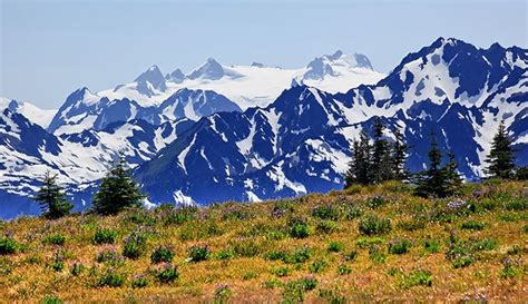 Mt Olympus in Olympic National Park, Washington