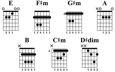 Guitar Chords E Major 7 at Scott Larkins blog