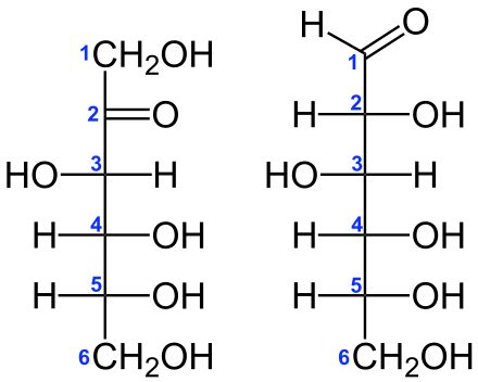 High-fructose corn syrup - Wikiwand