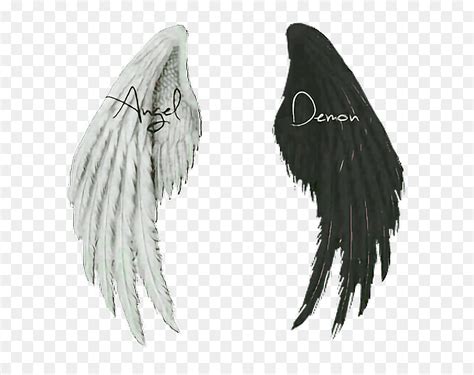 Devil Wings Png For Picsart - Iwanna Fly