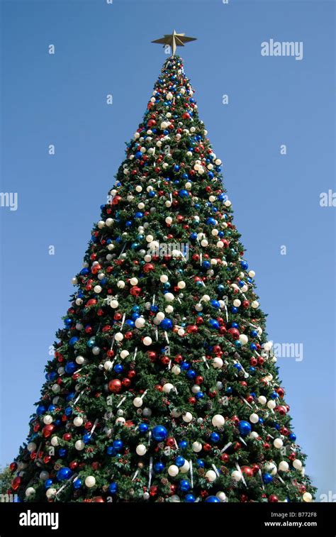 Decorated Christmas Tree, Hong Kong Disneyland Resort, Lantau Island ...